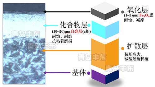 氮化+氧化組織結(jié)構(gòu)及作用