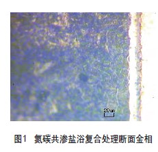 氮碳共滲鹽浴復(fù)合處理斷面金相